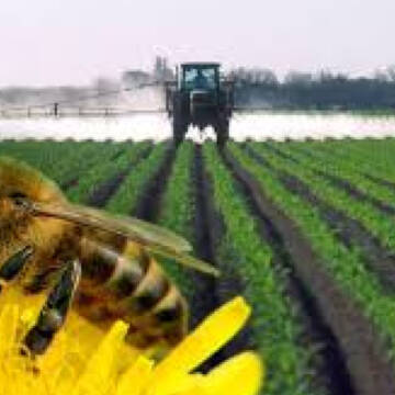 У Вінниці обговорили захист рослин та підтримку бджільництва