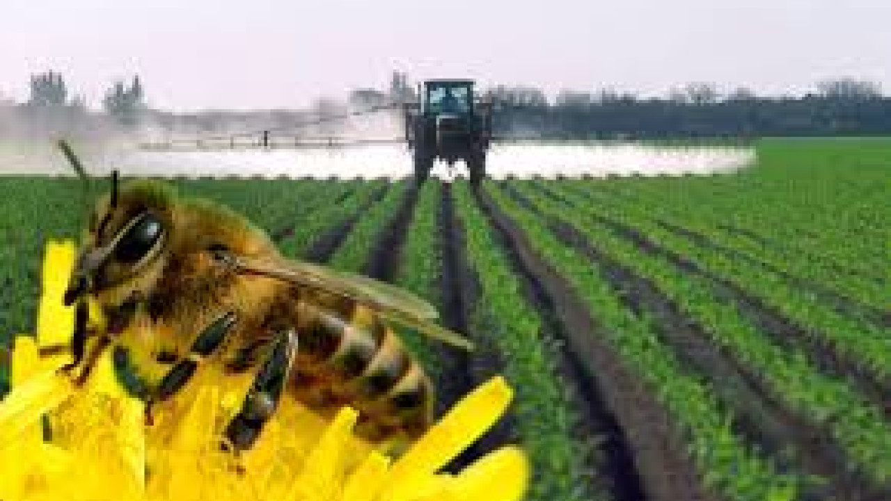 У Вінниці обговорили захист рослин та підтримку бджільництва