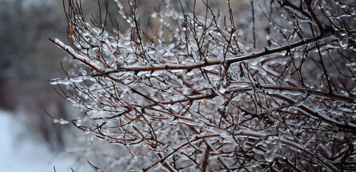 Туман та ожеледиця: погода на Вінниччині 12 лютого