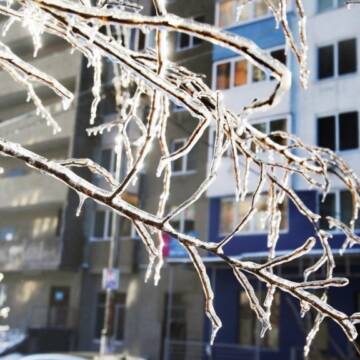 Потепління близько: прогноз погоди на середу, 11 лютого