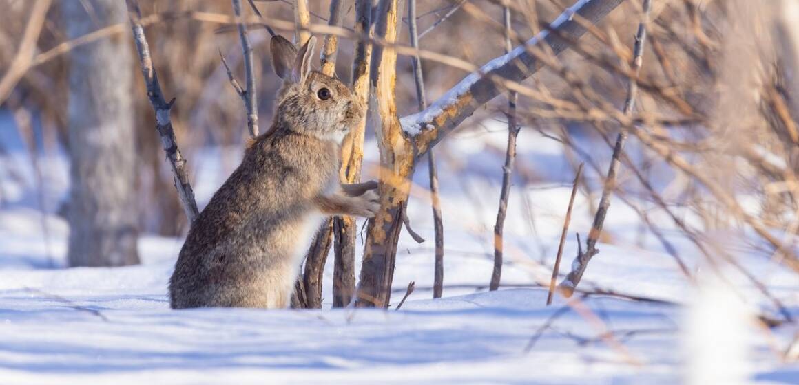 Зірки дозволяють розслабитись: гороскоп на 3 лютого для всіх знаків