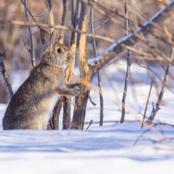 Зірки дозволяють розслабитись: гороскоп на 3 лютого для всіх знаків
