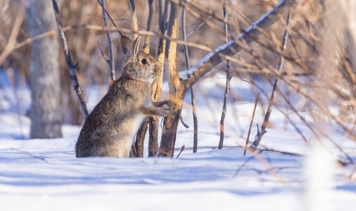 Зірки дозволяють розслабитись: гороскоп на 3 лютого для всіх знаків