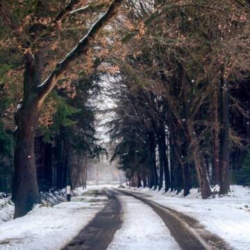 Погода у Вінницькій області 27 лютого: без опадів та морози вночі
