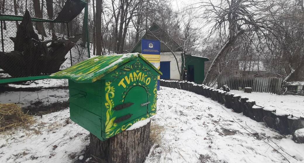 Бабак Тимко дав прогноз коли до України прийде весна