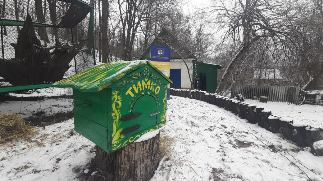 Бабак Тимко дав прогноз коли до України прийде весна