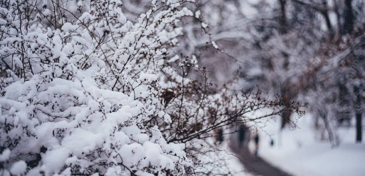 Жовтий рівень небезпеки: на Вінниччині прогнозують сніг і сильний вітер