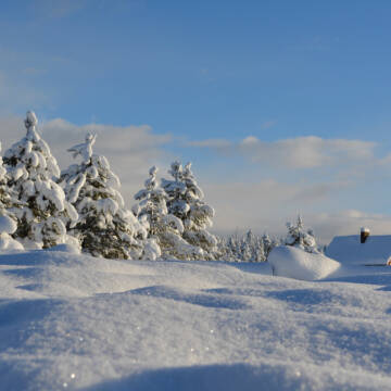 Замети вищі за людський зріст: якою була найсуворіша зима в Україні
