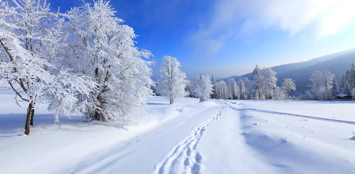 Гороскоп на 4 лютого для всіх знаків зодіаку