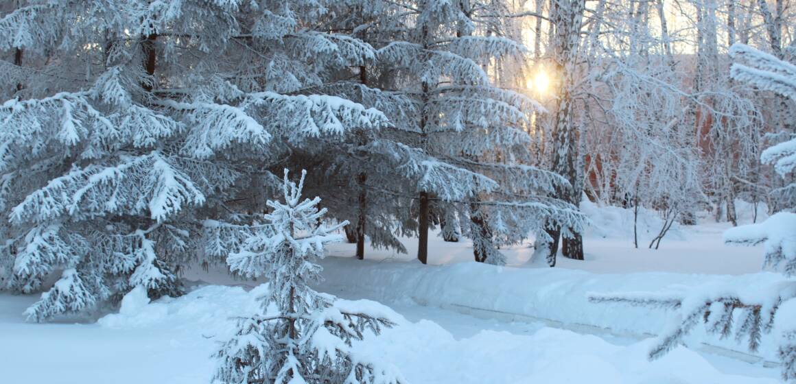 Мороз_и_солнце Сильні морози, але без опадів: якою буде погода у Вінниці та області 3 лютого