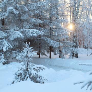 Сильні морози, але без опадів: якою буде погода у Вінниці та області 3 лютого