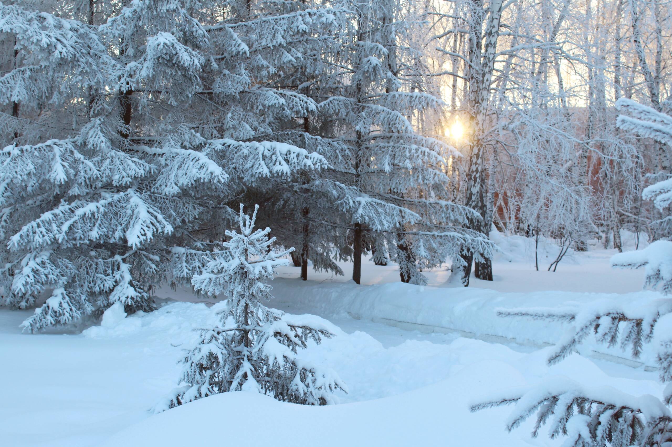 Сильні морози, але без опадів: якою буде погода у Вінниці та області 3 лютого