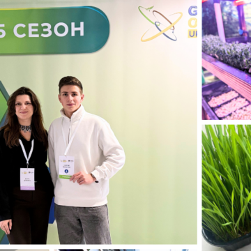 Вінницький школяр дослідив мікрозелень і виборов бронзу на науковому конкурсі