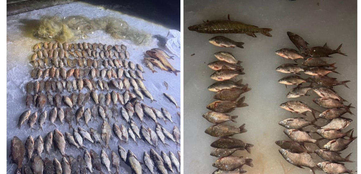 На Вінниччині рибалка-втікач завдав травм патрульному