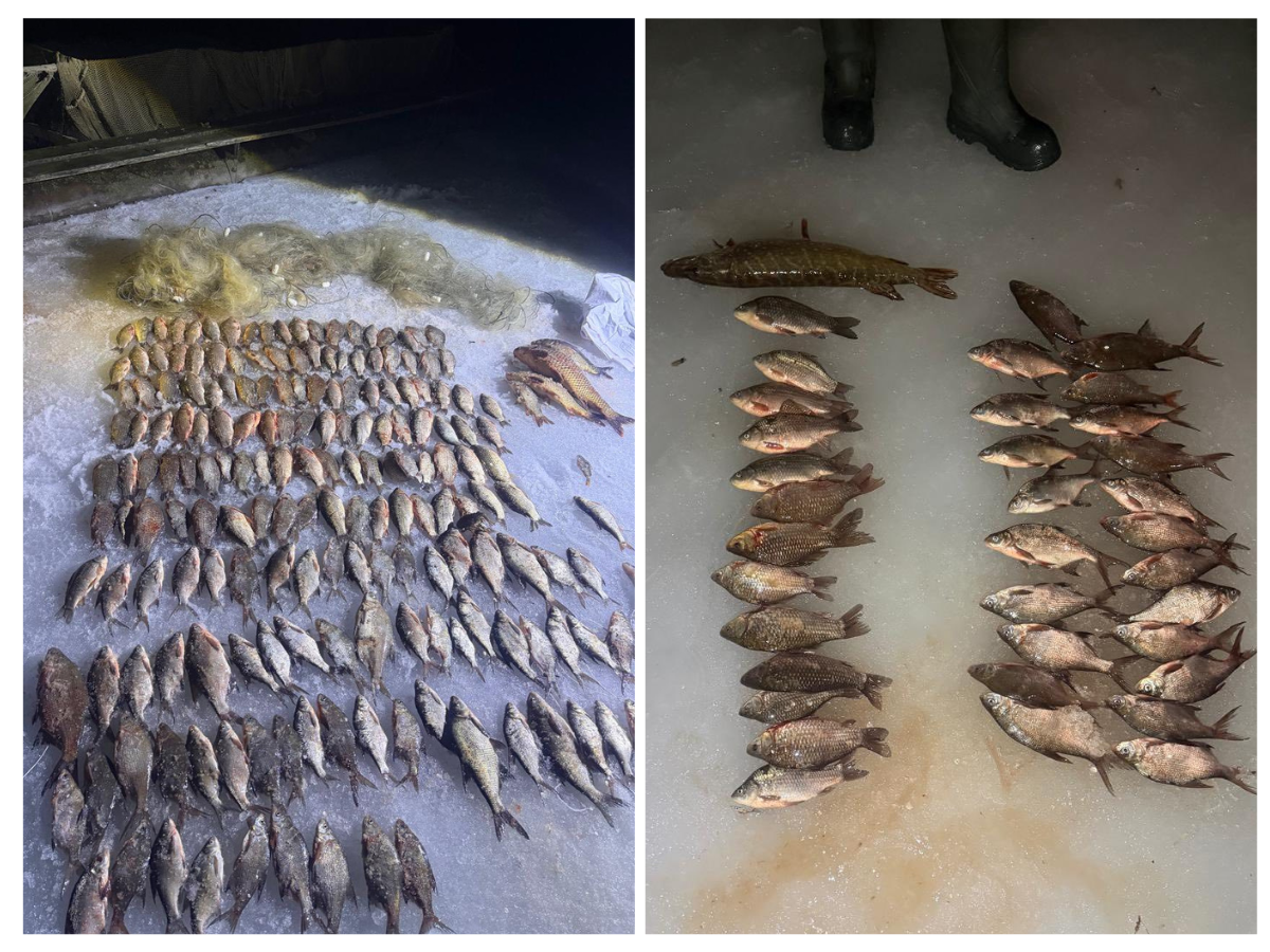 На Вінниччині рибалка-втікач завдав травм патрульному