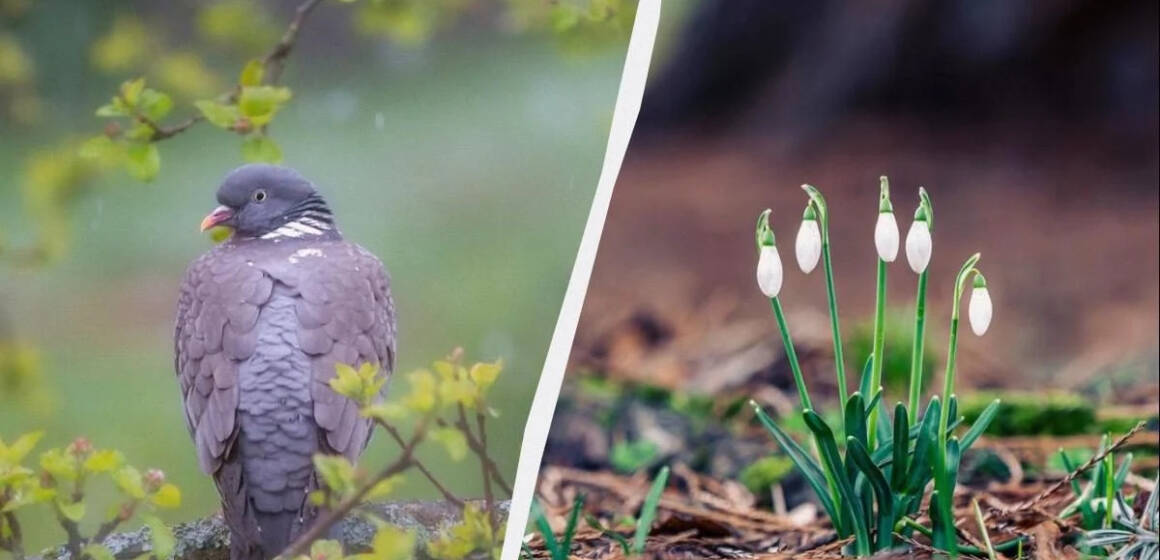 Мінусова температура та сильний вітер: погода на Вінниччині 18 березня