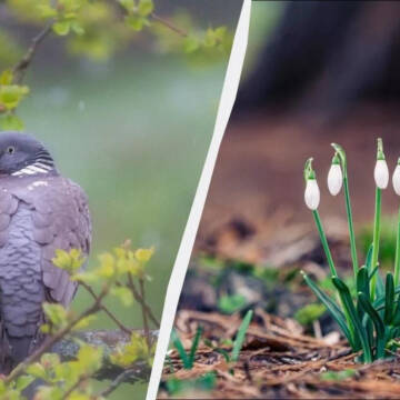 Мінусова температура та сильний вітер: погода на Вінниччині 18 березня