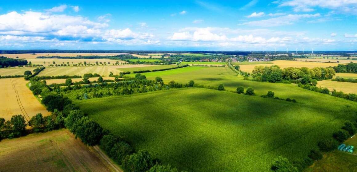 Прокуратура повернула державі 44 га історико-культурних земель у Ямпільській громаді