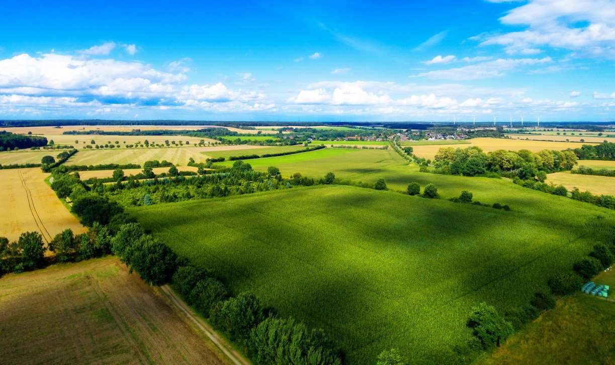 Прокуратура повернула державі 44 га історико-культурних земель у Ямпільській громаді