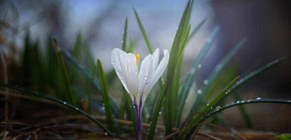 Хмарно та дощ: погода 30 березня на Вінниччині