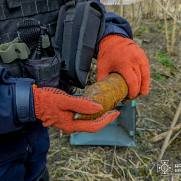 Рятувальники Вінниччини знищили два артилерійські снаряди