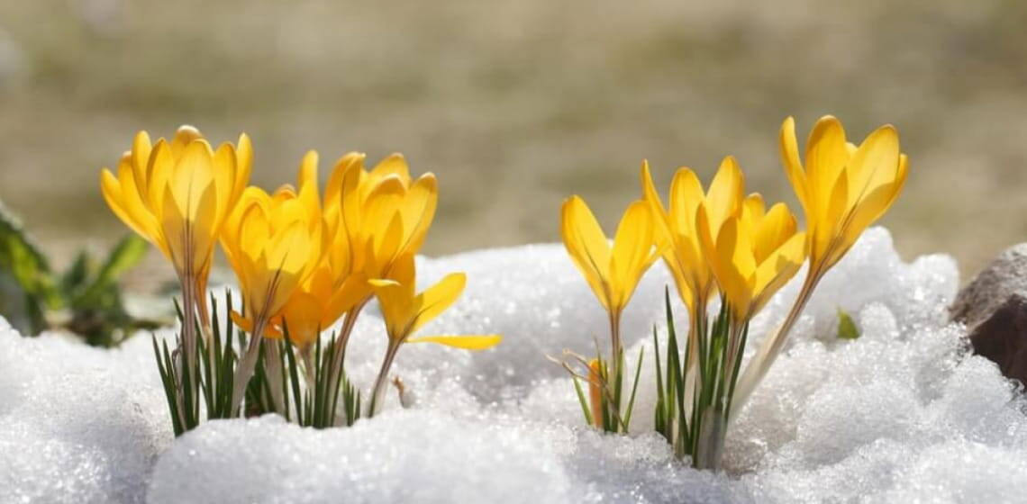 242758 До 12°C тепла: погода на Вінниччині 4 березня