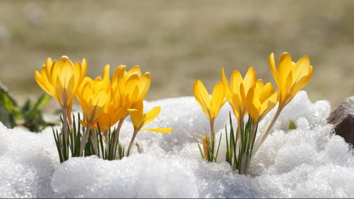 До 12°C тепла: погода на Вінниччині 4 березня