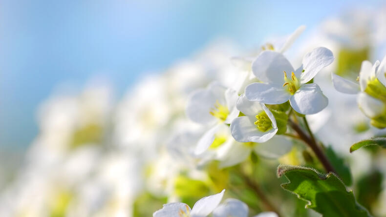 Гороскоп на 28 березня 2026 року: що чекає на всі знаки зодіаку