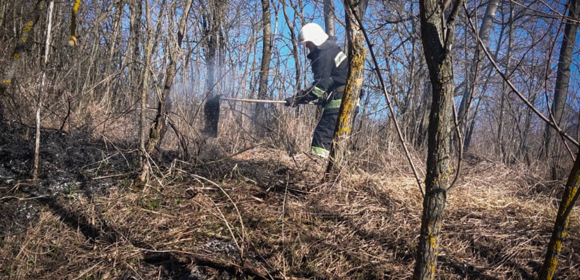 Майже всі райони Вінниччини потерпали від вогню на відкритих територіях