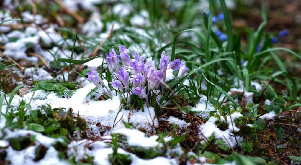 509dad54599817ca Якою буде погода на Вінниччині 3 березня
