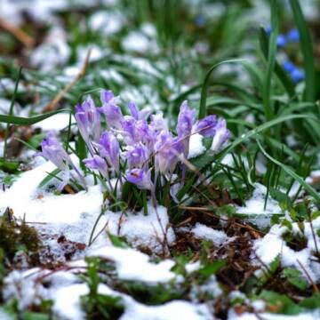 509dad54599817ca Якою буде погода на Вінниччині 3 березня