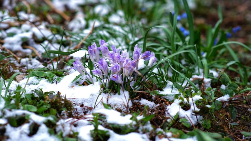 Якою буде погода на Вінниччині 3 березня