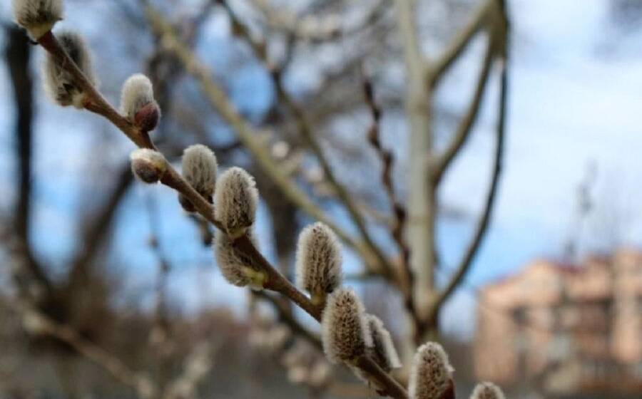 Прогноз погоди у Вінниці та області на п’ятницю, 20 березня