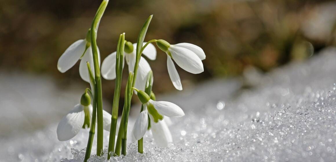 На Вінниччині 13 березня очікується тепла погода без опадів
