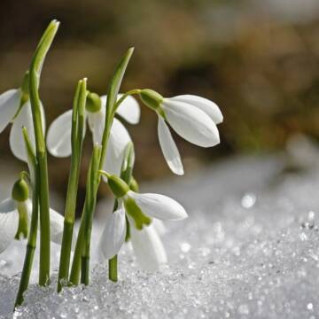 На Вінниччині 13 березня очікується тепла погода без опадів