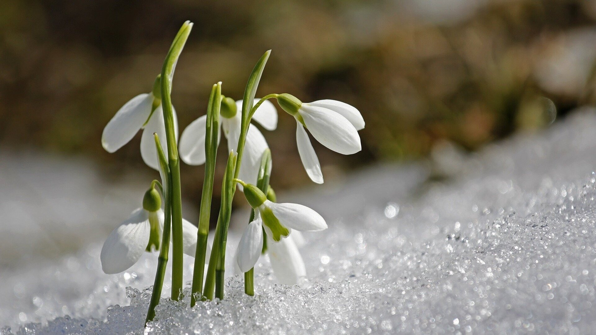 На Вінниччині 13 березня очікується тепла погода без опадів