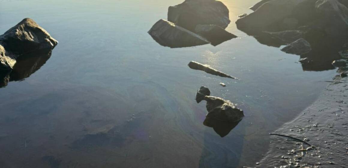 На Дністрі біля Могилева-Подільського виявлено забруднення води