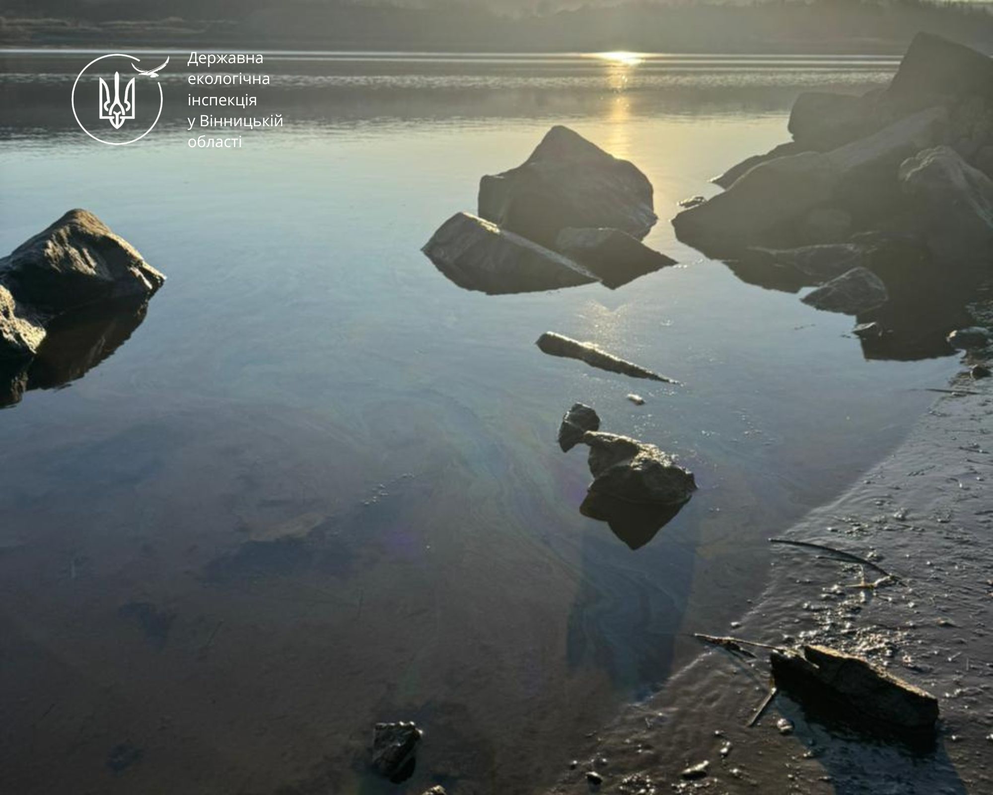 На Дністрі біля Могилева-Подільського виявлено забруднення води