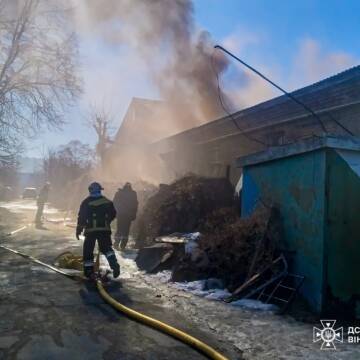 Вогняна доба на Вінниччині: 8 пожеж, травмований власник та загроза екосистемам