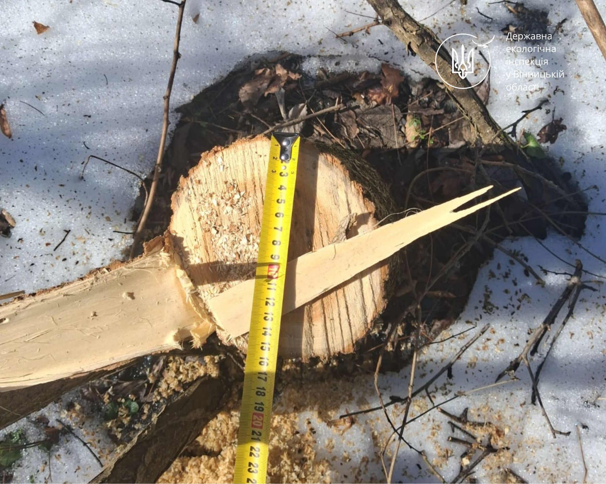 У Літинських Хуторах “чорного” лісоруба оштрафували на 22 тисячі гривень