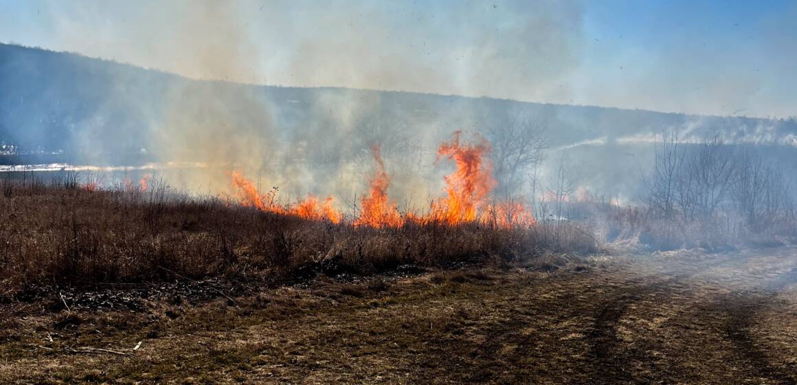 На Вінниччині за добу сталося п’ять пожеж на відкритих територіях