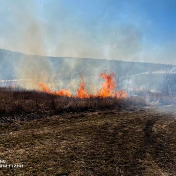 На Вінниччині за добу сталося п’ять пожеж на відкритих територіях