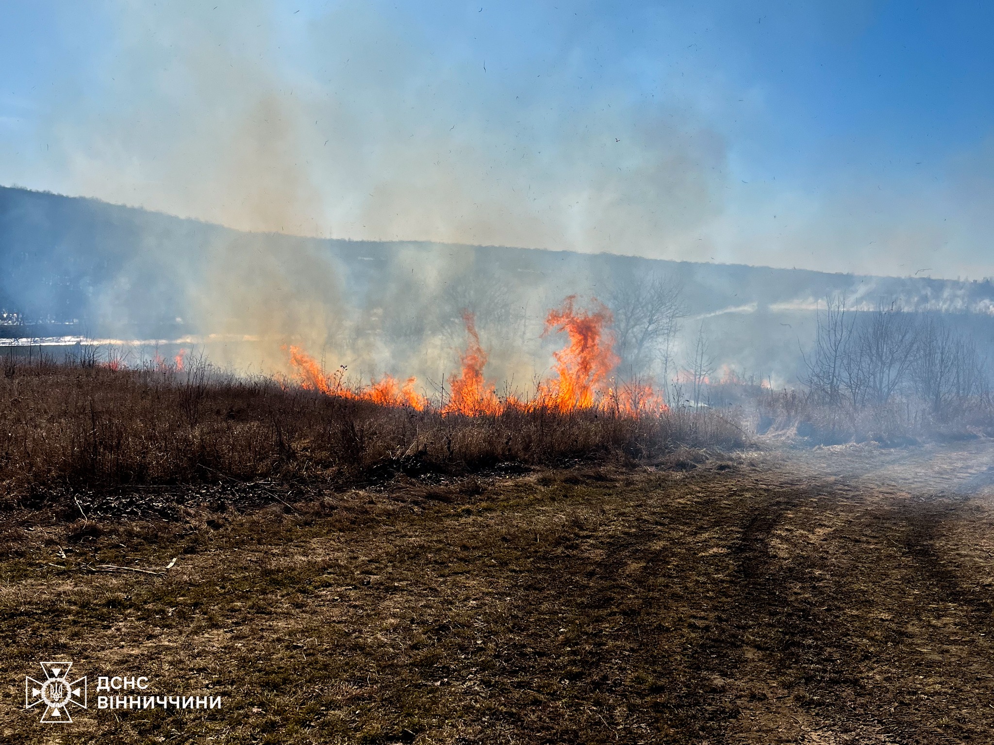 На Вінниччині за добу сталося п’ять пожеж на відкритих територіях