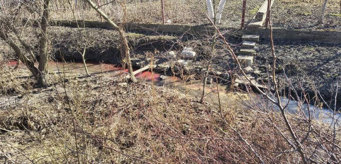 Кривавий слід: у Вінниці муніципальна варта викрила порушника, який зливав відходи у річку