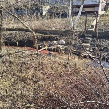 Кривавий слід: у Вінниці муніципальна варта викрила порушника, який зливав відходи у річку