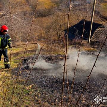 На Вінниччині за добу вогонь випалив понад 6 гектарів землі