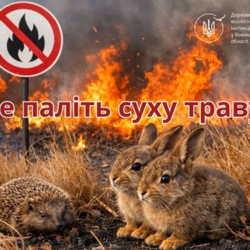 Екологи нагадали, скільки доведеться заплатити паліям сухої трави