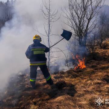 11 гектарів сухої трави вигоріли на Вінниччині минулої доби
