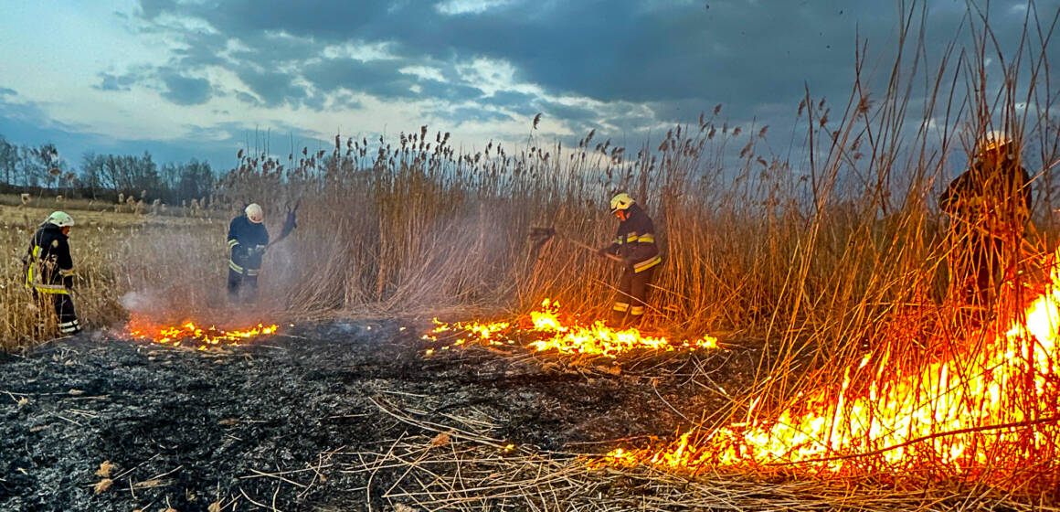 19 пожеж за добу: на Вінниччині знову палає суха рослинність