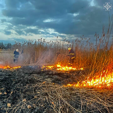 19 пожеж за добу: на Вінниччині знову палає суха рослинність